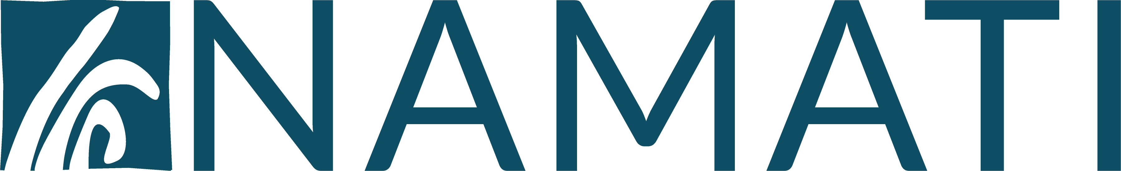 Namati Logo_Dark_Blue (2)